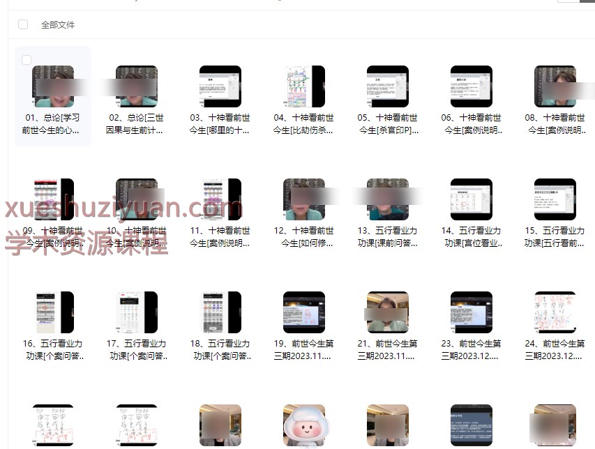 2509289 贺侨莉《八字应用篇～前世今生》教学视频29集Y插图