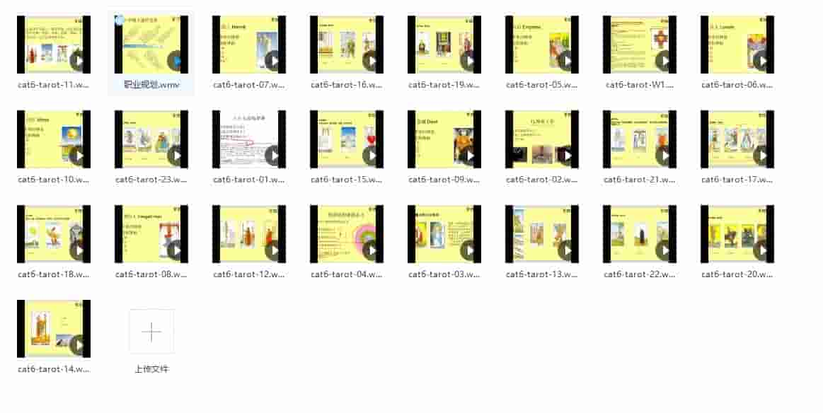 《猫六塔罗牌》塔罗牌意讲解25视频合集下载百度盘插图