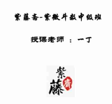 紫藤斋 紫微斗数初级班+紫微斗数中级班 录音课程  一丁老师插图