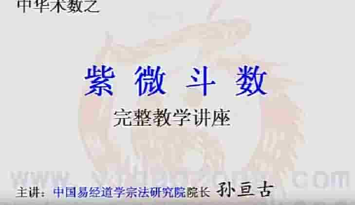 孙亘古紫微斗数完整教学视频讲座13集插图