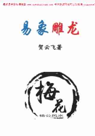 贺云飞 -《易象雕龙》366页–打印版-发出插图