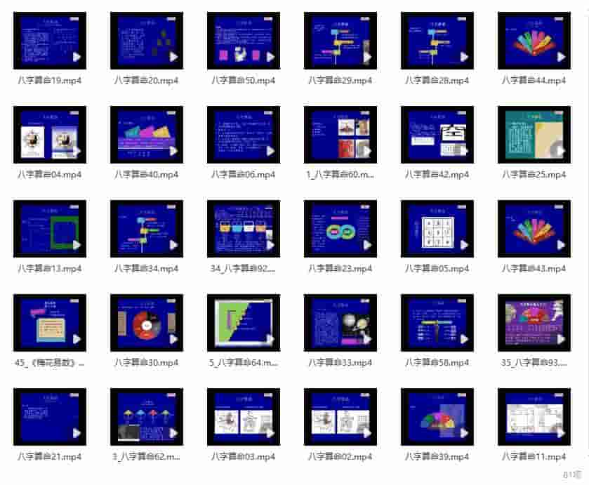 陈有道八字命理视频教程81集（不全）插图