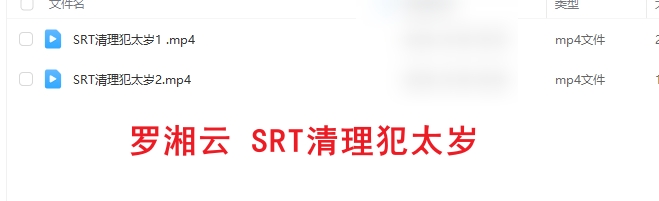 罗湘云 SRT清理犯太岁视频课程插图